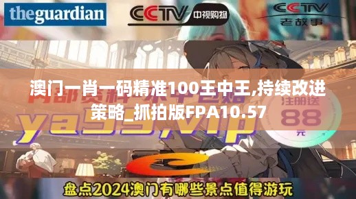 澳门一肖一码精准100王中王,持续改进策略_抓拍版FPA10.57