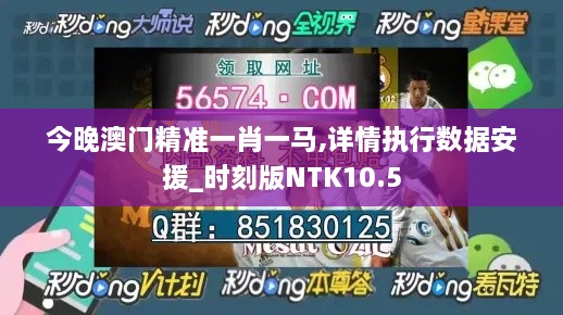 今晚澳门精准一肖一马,详情执行数据安援_时刻版NTK10.5