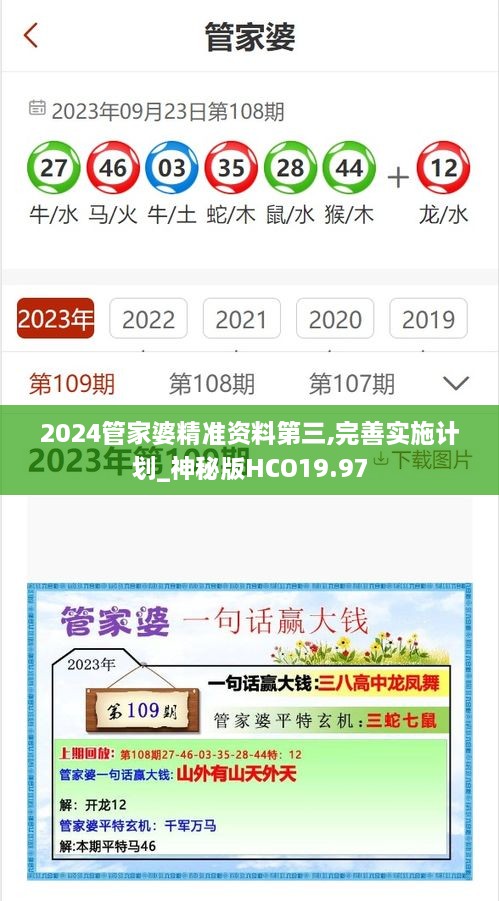 2024管家婆精准资料第三,完善实施计划_神秘版HCO19.97