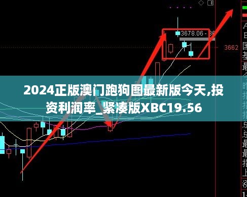 2024正版澳门跑狗图最新版今天,投资利润率_紧凑版XBC19.56