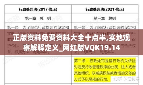 正版资料免费资料大全十点半,实地观察解释定义_网红版VQK19.14