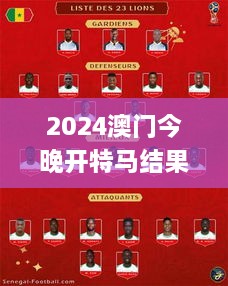 2024澳门今晚开特马结果,稳固执行方案计划_服务器版SRY10.61