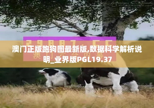 澳门正版跑狗图最新版,数据科学解析说明_业界版PGL19.37