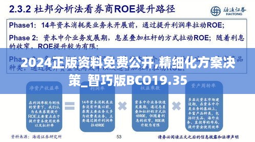 2024正版资料免费公开,精细化方案决策_智巧版BCO19.35