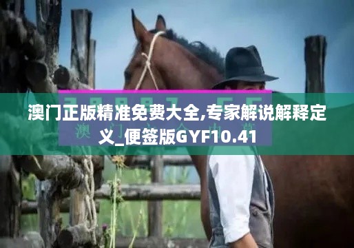 澳门正版精准免费大全,专家解说解释定义_便签版GYF10.41