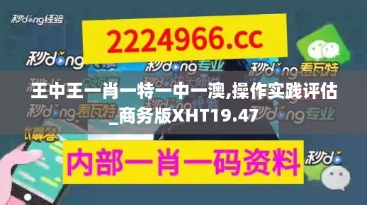 王中王一肖一特一中一澳,操作实践评估_商务版XHT19.47