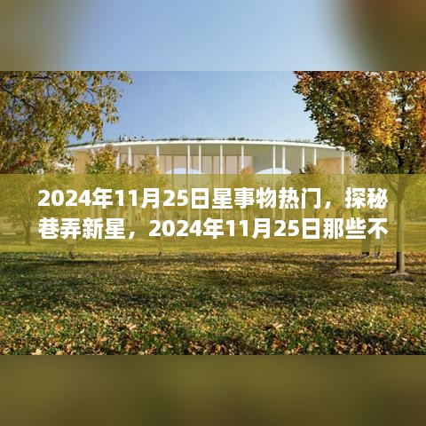 探秘星事物热门，2024年11月25日巷弄新星与奇趣小店盘点