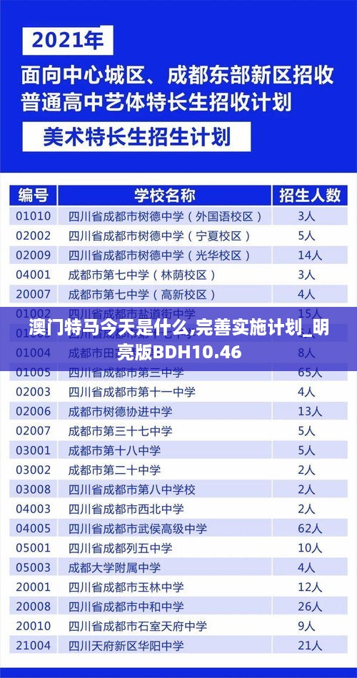 澳门特马今天是什么,完善实施计划_明亮版BDH10.46