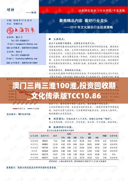 澳门三肖三淮100淮,投资回收期_文化传承版TCC10.86