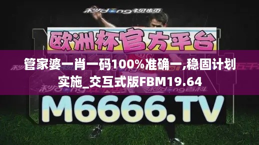 管家婆一肖一码100%准确一,稳固计划实施_交互式版FBM19.64