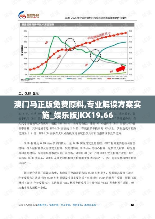 澳门马正版免费原料,专业解读方案实施_娱乐版JKX19.66