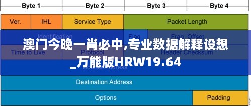 澳门今晚一肖必中,专业数据解释设想_万能版HRW19.64