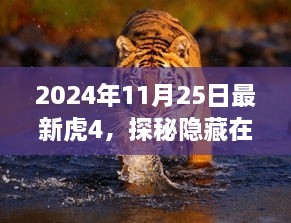 探秘小巷深处的独特宝藏，最新虎4特色小店（2024年11月25日）