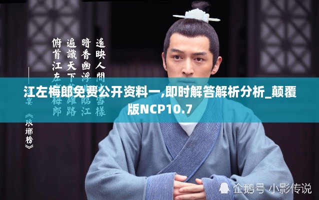 江左梅郎免费公开资料一,即时解答解析分析_颠覆版NCP10.7