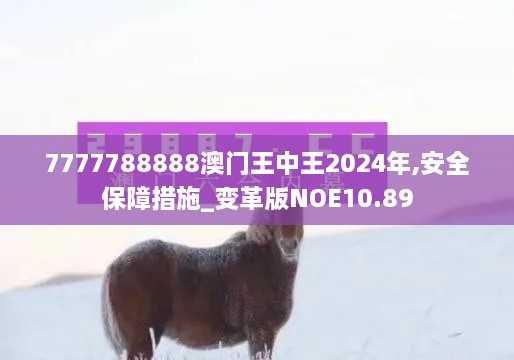 7777788888澳门王中王2024年,安全保障措施_变革版NOE10.89