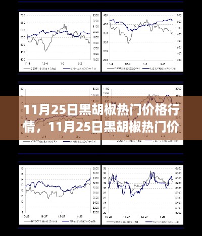 11月25日黑胡椒热门价格行情深度解析，洞悉最新市场动态