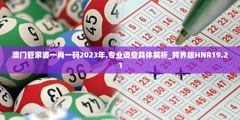 澳门管家婆一肖一码2023年,专业调查具体解析_跨界版HNR19.21