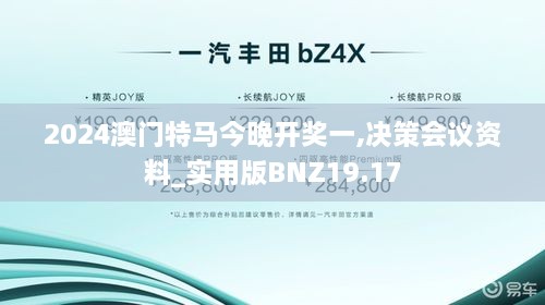 2024澳门特马今晚开奖一,决策会议资料_实用版BNZ19.17