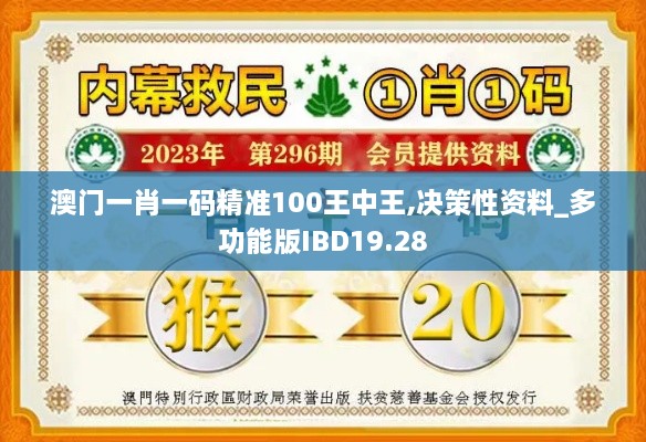 澳门一肖一码精准100王中王,决策性资料_多功能版IBD19.28