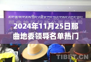 揭秘那曲地委领导名单全攻略，热门领导名单一网打尽（初学者与进阶用户适用）