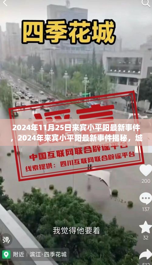 揭秘来宾小平阳最新事件，城市新篇章的开启（2024年）