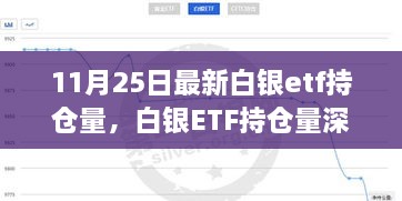 聚焦白银ETF持仓量深度解析，最新动态与影响分析（11月25日）