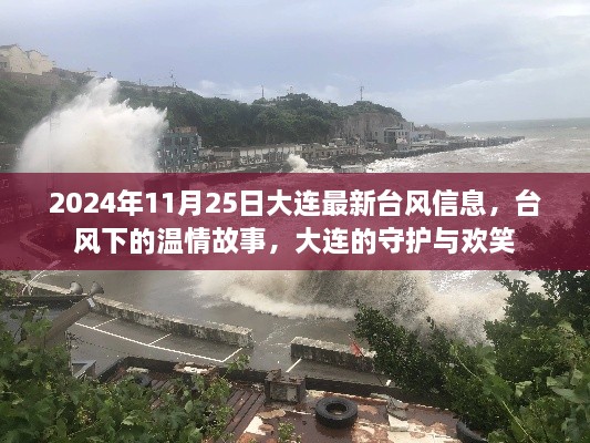 台风下的温情故事，大连守护与欢笑，2024年1月最新台风信息