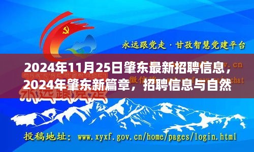 2024年肇东最新招聘信息与自然美景的双重礼赞，启程寻找内心的宁静之旅