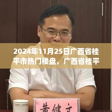 广西省桂平市热门楼盘全面测评报告，聚焦2024年11月热门楼盘深度解析