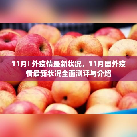 11月国外疫情最新状况全面测评与介绍分析，全球疫情动态概览及影响展望