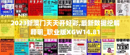 2023新澳门天天开好彩,最新数据挖解释明_职业版XGW14.81