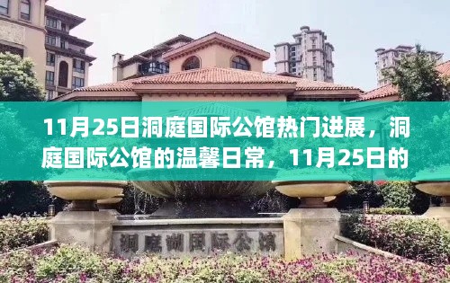 洞庭国际公馆11月25日进展揭秘，温馨日常的惊喜蜕变