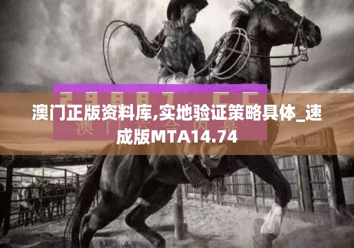 澳门正版资料库,实地验证策略具体_速成版MTA14.74