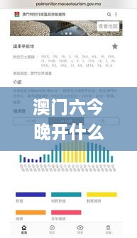 澳门六今晚开什么特马,稳健设计策略_掌中宝XQW14.45