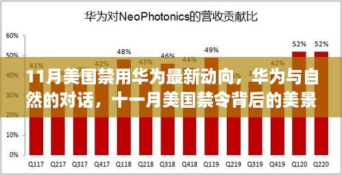 美国禁用华为背后的故事，探寻禁令背后的自然美景与内心宁静