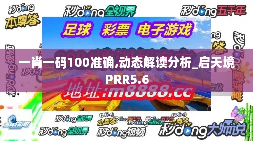 一肖一码100准确,动态解读分析_启天境PRR5.6