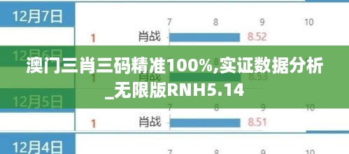 澳门三肖三码精准100%,实证数据分析_无限版RNH5.14