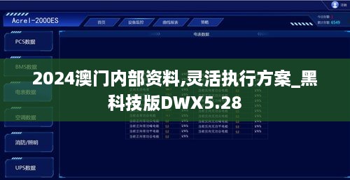 2024澳门内部资料,灵活执行方案_黑科技版DWX5.28