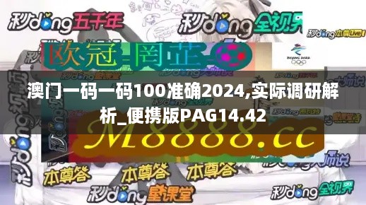 澳门一码一码100准确2024,实际调研解析_便携版PAG14.42