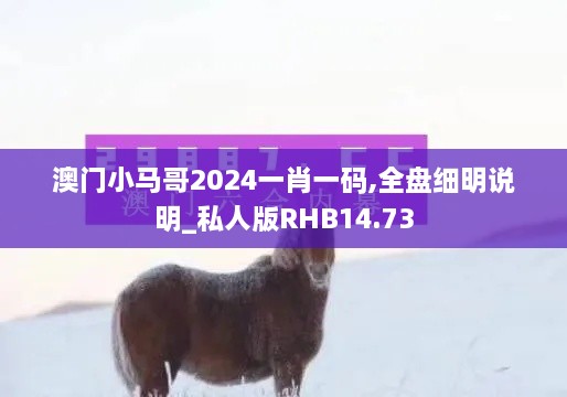 澳门小马哥2024一肖一码,全盘细明说明_私人版RHB14.73