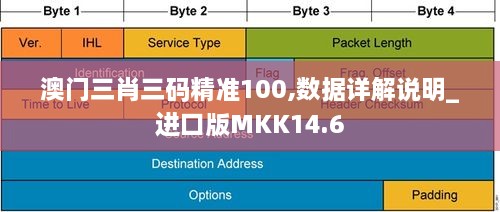 澳门三肖三码精准100,数据详解说明_进口版MKK14.6