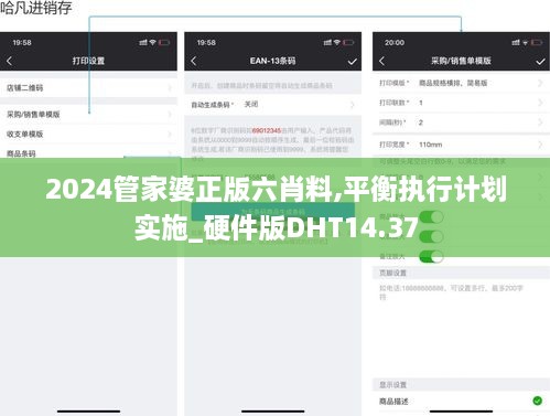 2024管家婆正版六肖料,平衡执行计划实施_硬件版DHT14.37
