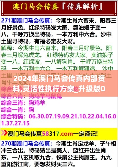 2024年澳门马会传真内部资料,灵活性执行方案_升级版OKO14.67