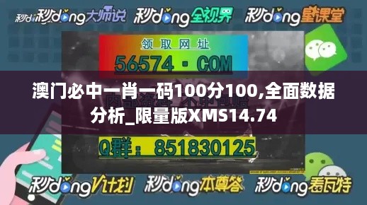 澳门必中一肖一码100分100,全面数据分析_限量版XMS14.74