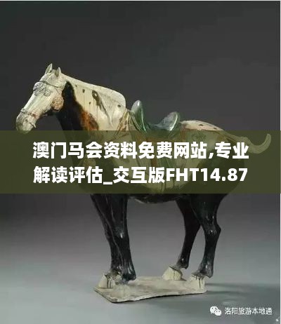 澳门马会资料免费网站,专业解读评估_交互版FHT14.87