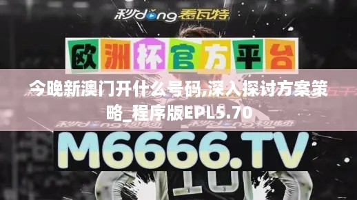 今晚新澳门开什么号码,深入探讨方案策略_程序版EPL5.70