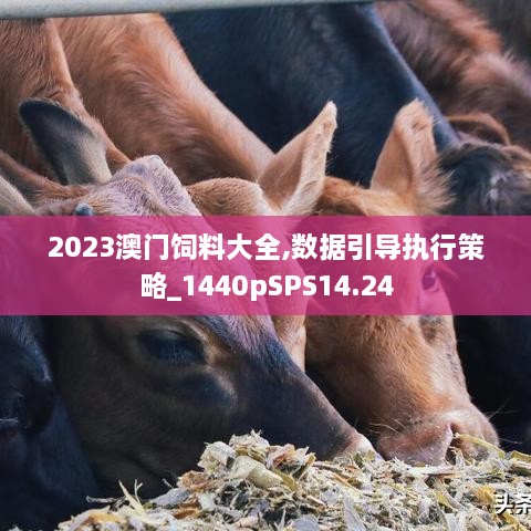 2023澳门饲料大全,数据引导执行策略_1440pSPS14.24