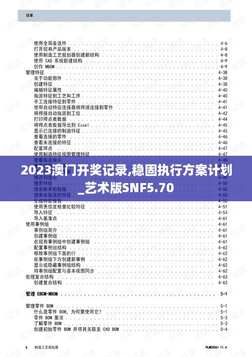 2023澳门开奖记录,稳固执行方案计划_艺术版SNF5.70