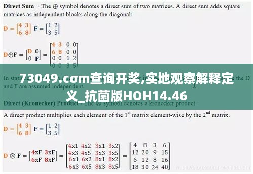 73049.cσm查询开奖,实地观察解释定义_抗菌版HOH14.46