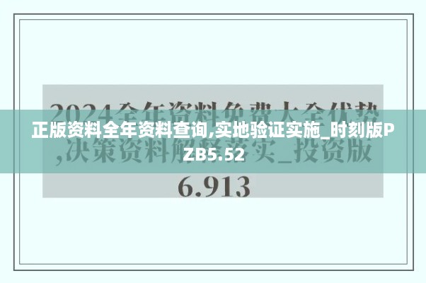 正版资料全年资料查询,实地验证实施_时刻版PZB5.52